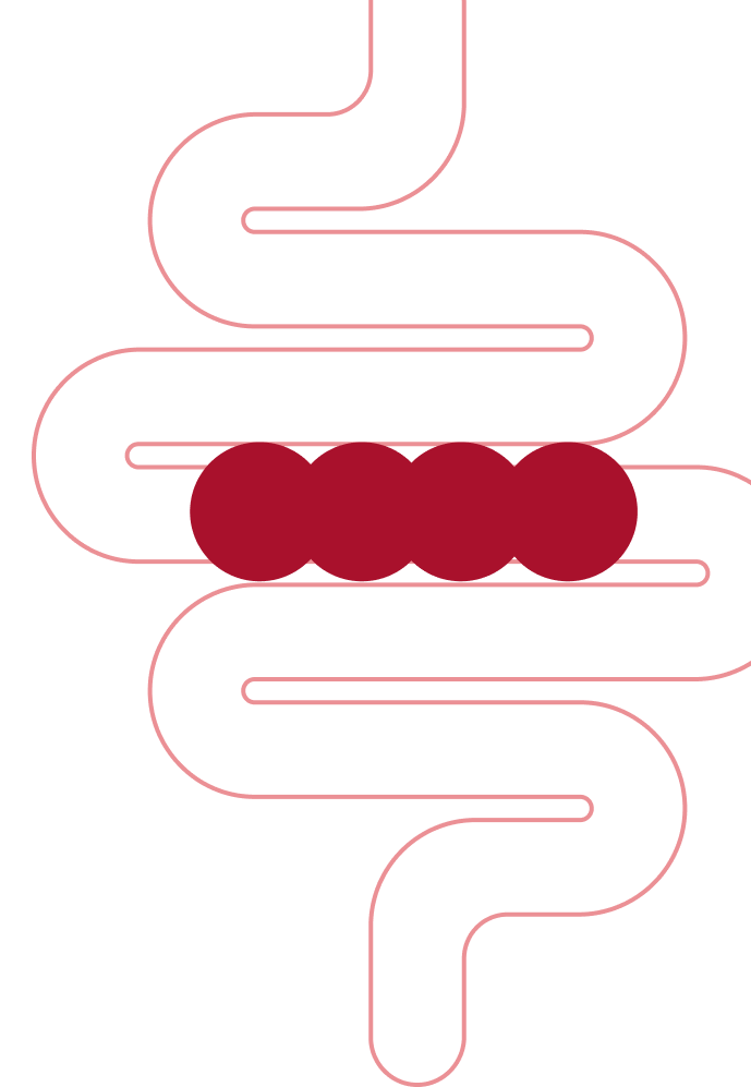 O que é Psyllogel<sup>®</sup> Fibra?