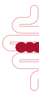 O que é Psyllogel<sup></noscript>®</sup> Fibra?