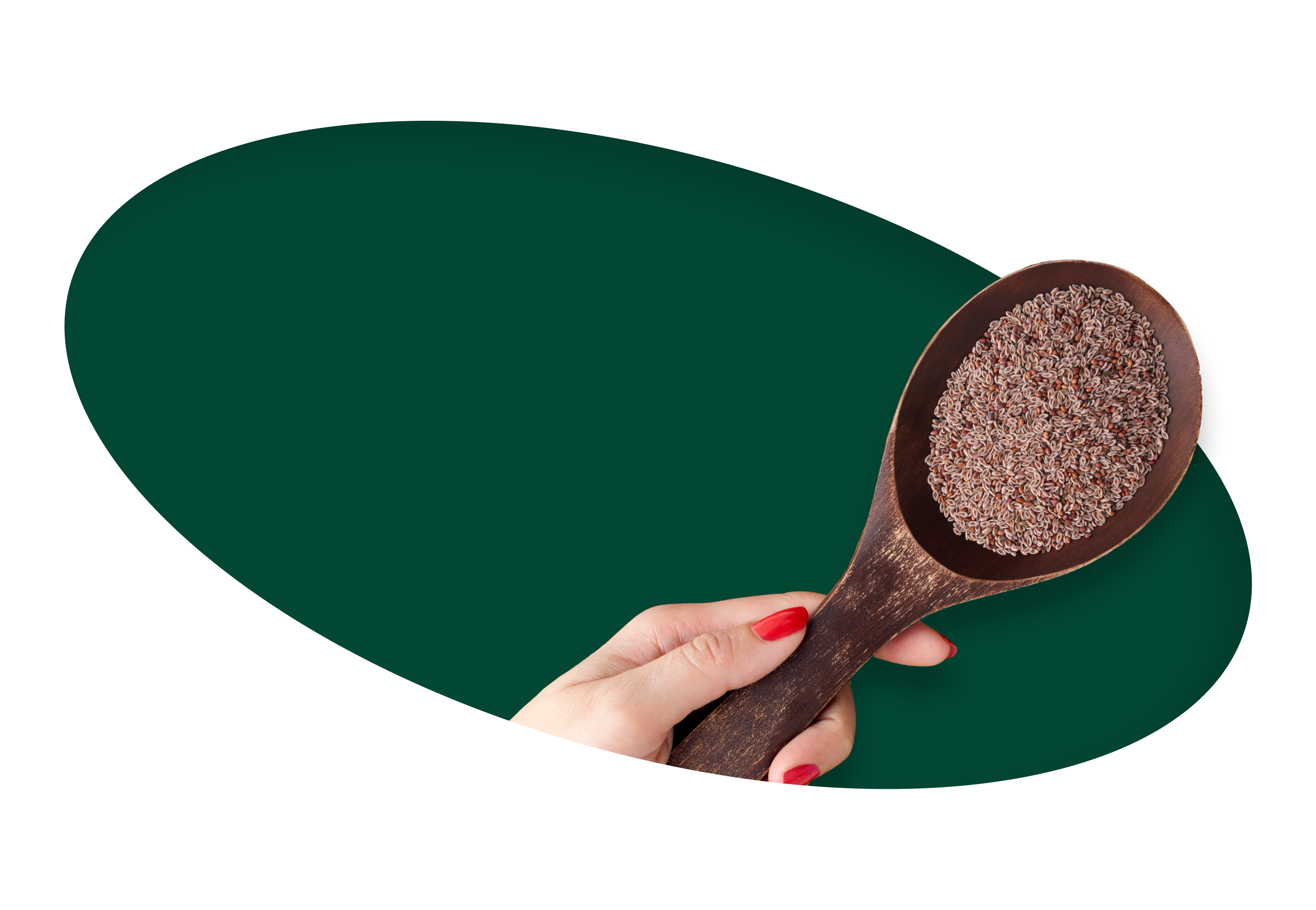 O que é Psyllogel<sup>®</sup> Fibra?