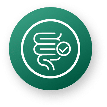 Favorece regulação Intestinal